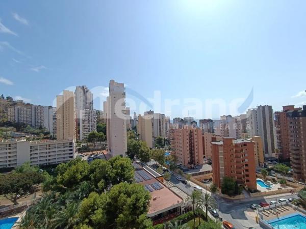 Estudio en avenida de Montecarlo