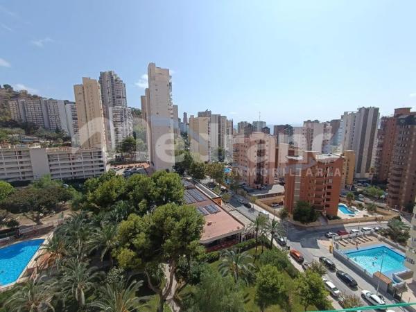 Estudio en avenida de Montecarlo