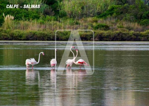 Chalet en Cometa-Carrió