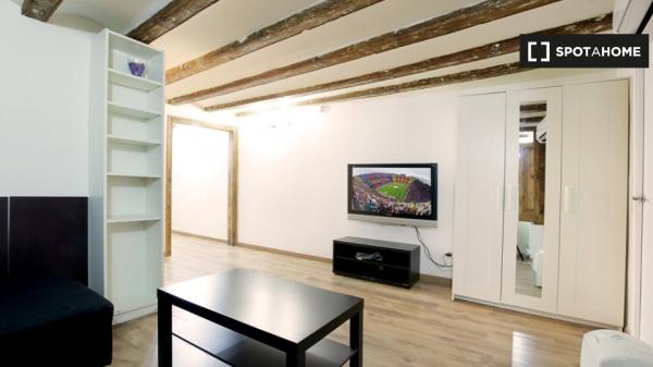 Apartamento de 1 dormitorio en alquiler en Ciutat Vella, Barcelona.