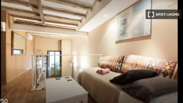 Whole 2 bedrooms apartment in Barcelona