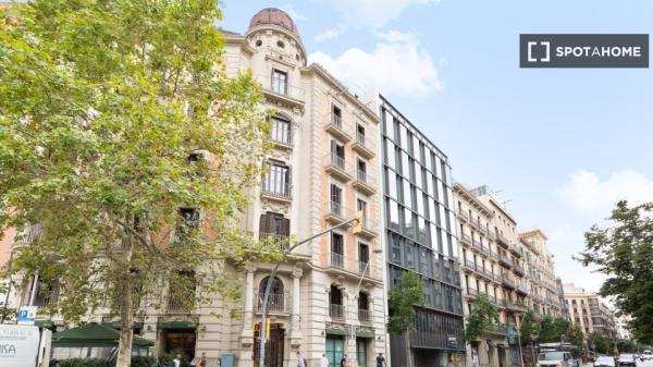 Se alquila habitación en piso de 3 habitaciones en Barcelona