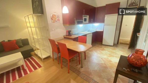 Apartamento de 1 dormitorio en alquiler en Opera, Madrid