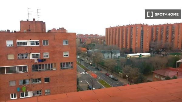 Se alquila habitación en piso de 2 dormitorios en madrid.