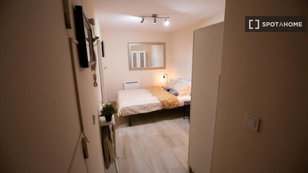 Studio apartment for rent in Madrid