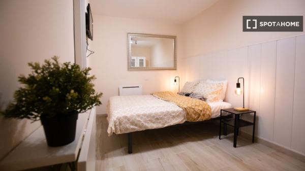 Studio apartment for rent in Madrid