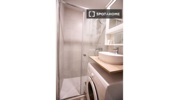 Studio apartment for rent in Madrid