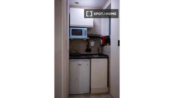 Studio apartment for rent in Madrid