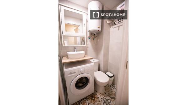 Studio apartment for rent in Madrid