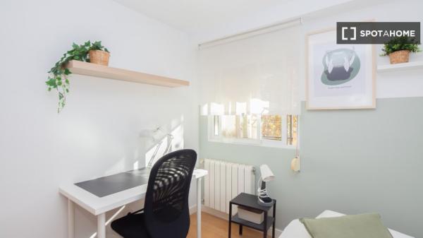 Shared apartment in Valencia