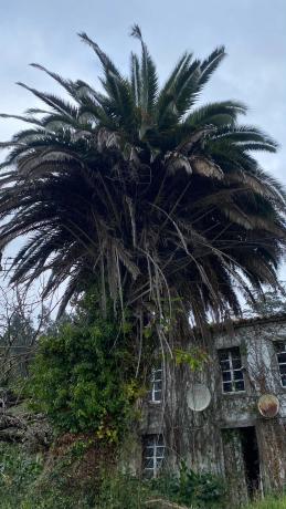 Casa independiente en Aldea Cabanan de Abaixo