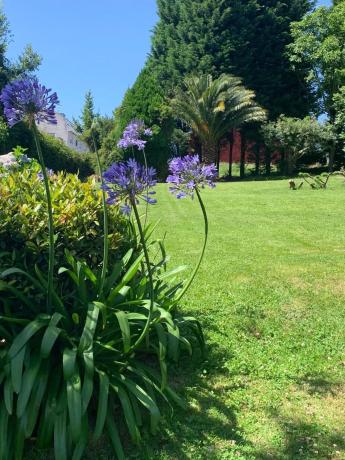 Casa independiente en Tablas