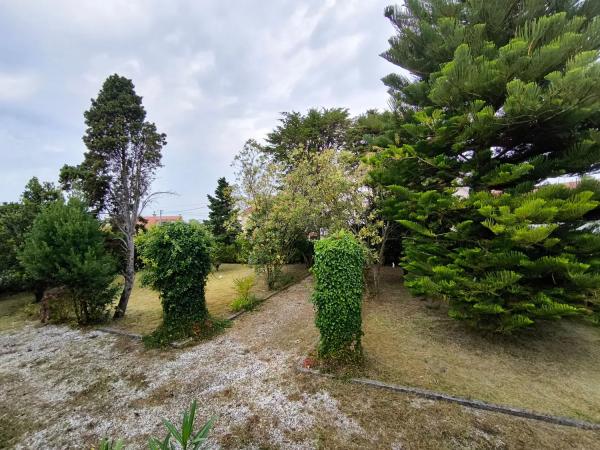 Casa independiente en carretera Obre