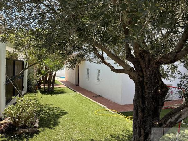 Casa independiente en calle Fernando Ferrándiz