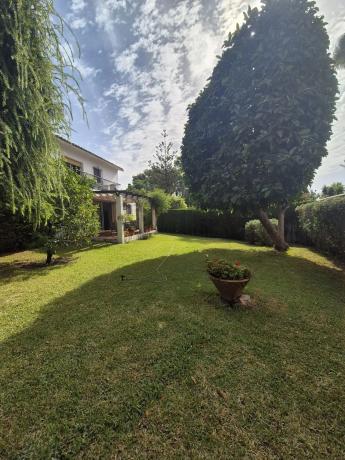 Casa independiente en calle Luís de Góngora