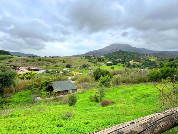 Casa independiente en Diseminado Pedregales