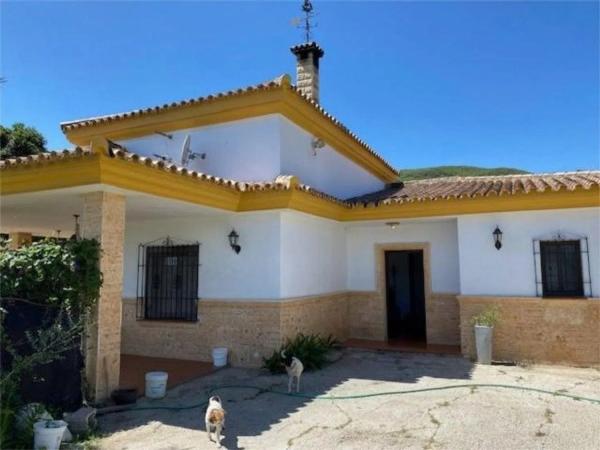 Casa independiente en calle Pilar de Farinós