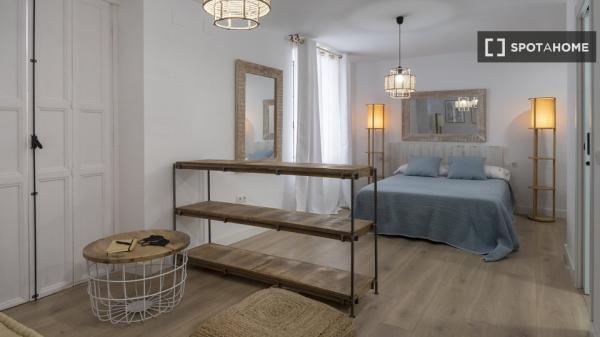 Apartamento entero de 1 dormitorio en València