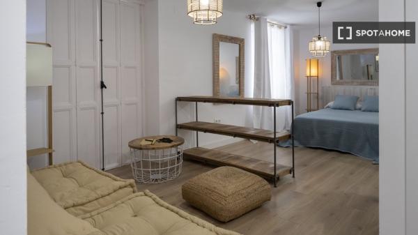 Apartamento entero de 1 dormitorio en València