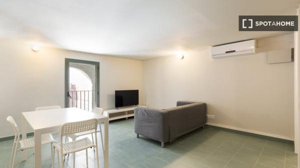 Whole 1 bedrooms apartment in Barcelona