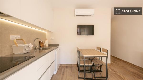 Apartamento entero de 1 dormitorio en Barcelona