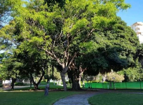 Estudio en avenida Gamonal