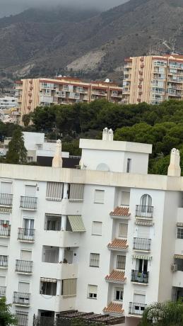 Estudio en Parque de la Paloma