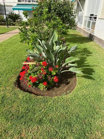 Piso en Barrio Cortijo Torrequebrada