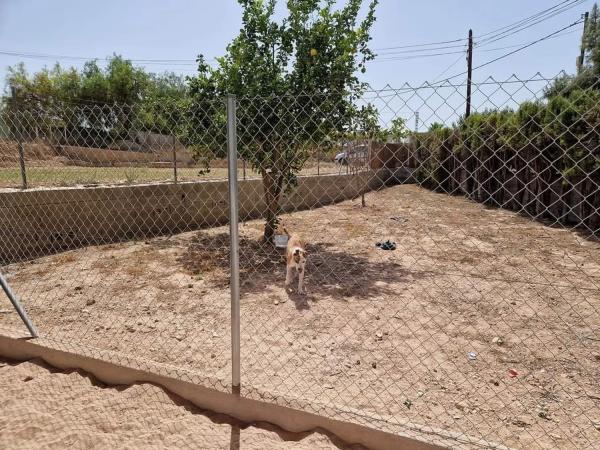 Casa independiente en camino pará manchao, 40