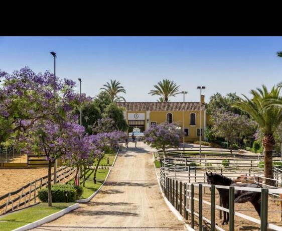 Casa independiente en Urbanizacion Coto la Zagaleta