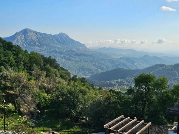 Chalet adosado en calle Piedras