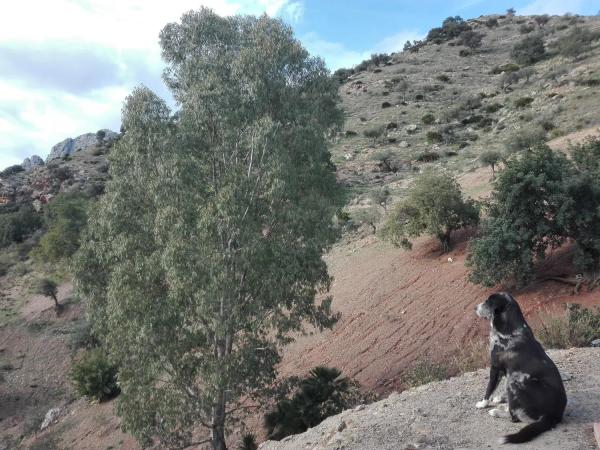 Casa independiente en Las Angosturas, 97