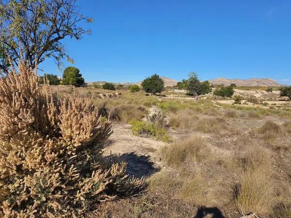 Terreno en calle Sierra Reclot