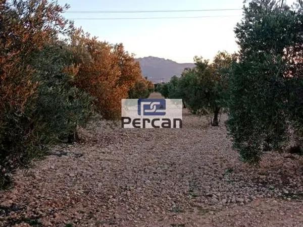 Terreno en Paraje las Tiesas