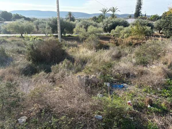 Terreno en carretera Bacarot, 63