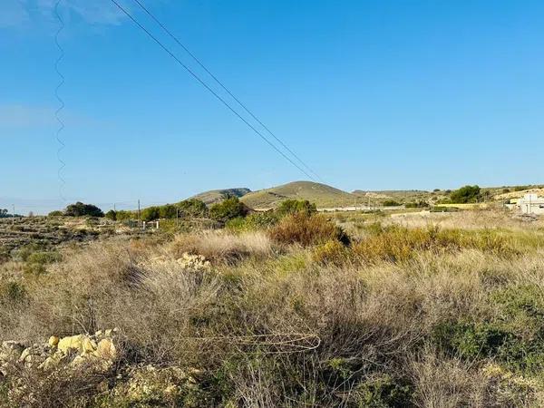 Terreno en carretera Bacarot