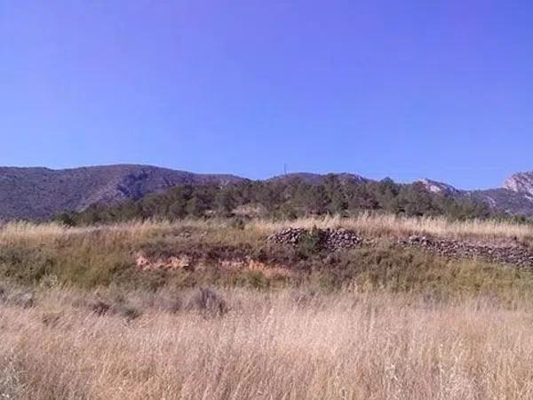 Terreno en Partida Umbria Baja de Algayat