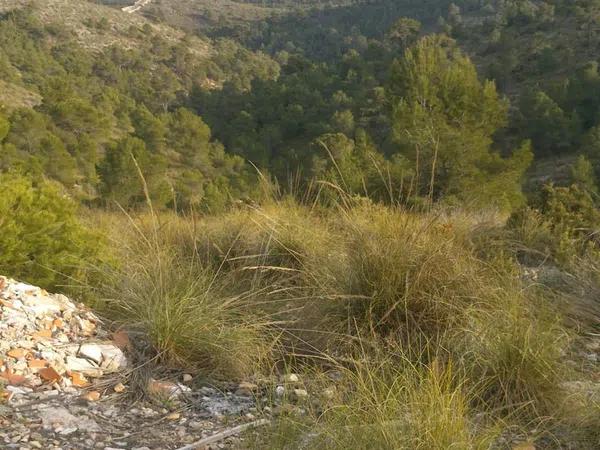 Terreno en sierra de la villa s/n