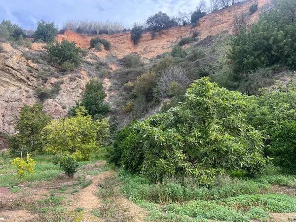 Terreno en Callosa d'En Sarria