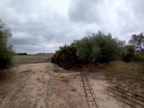 Terreno en vereda Virgen del Camino, 1