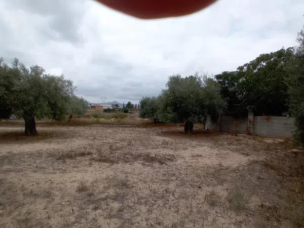 Terreno en vereda Virgen del Camino, 1