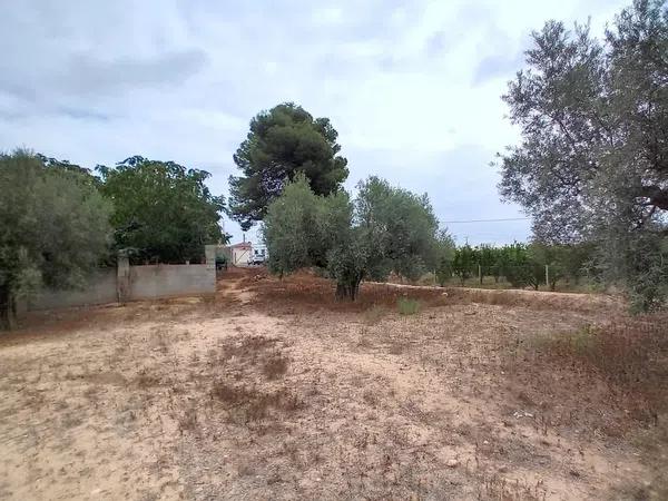 Terreno en vereda Virgen del Camino, 1