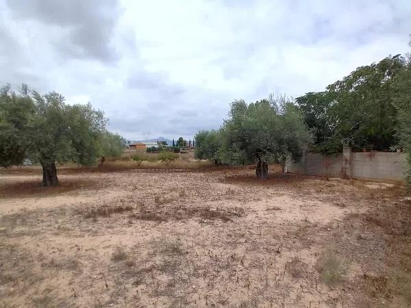 Terreno en vereda Virgen del Camino, 1