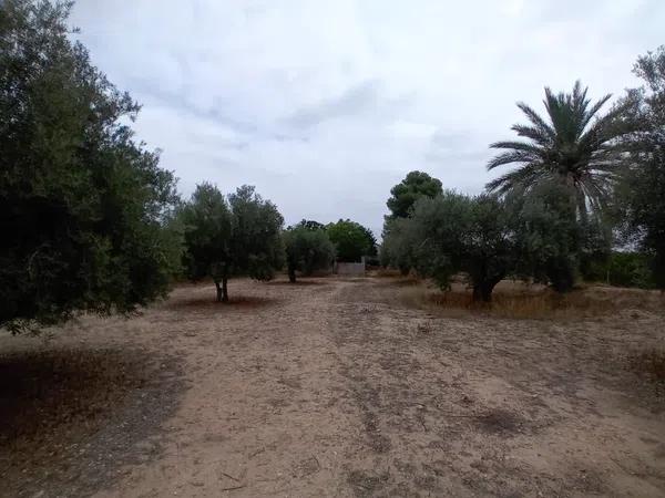 Terreno en vereda Virgen del Camino, 1