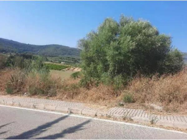 Terreno en Urbanización la Almazara