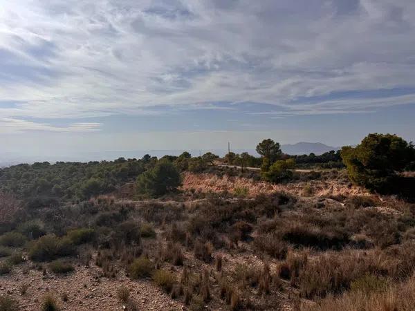 Terreno en Crevillente