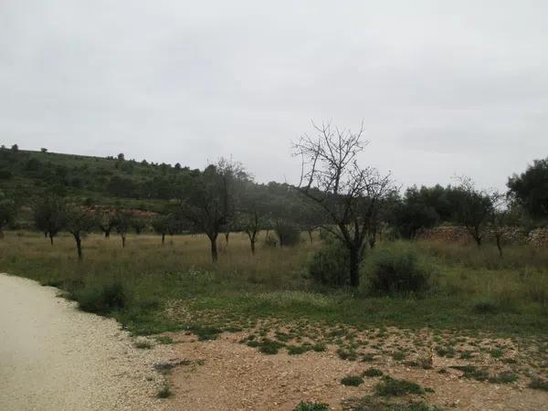 Terreno en Partida los Calores