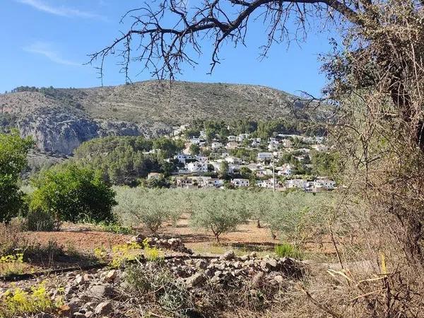 Terreno en Alcalalí