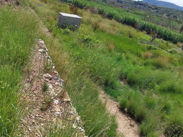 Terreno en carretera Gata s/n