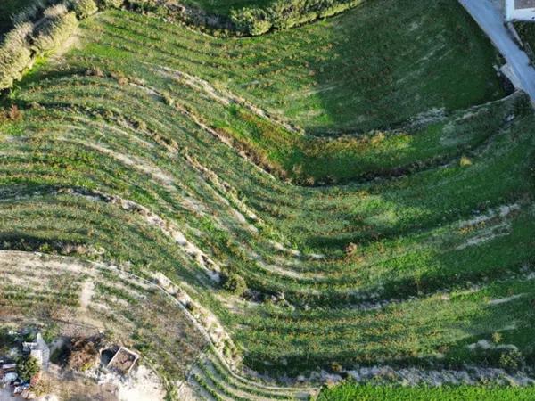 Terreno en Teulada